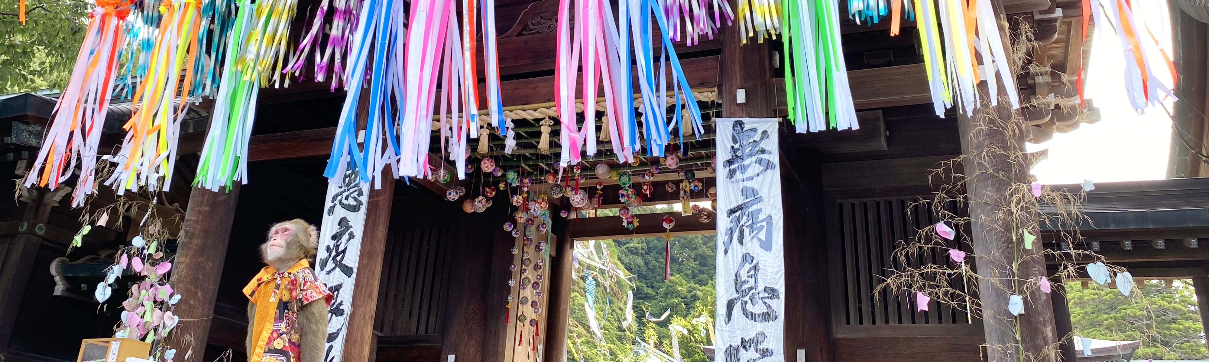猿まわしの歴史 日本伝統芸能猿まわし 二助企画