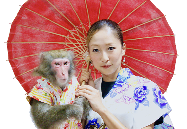 やまとなでしこ