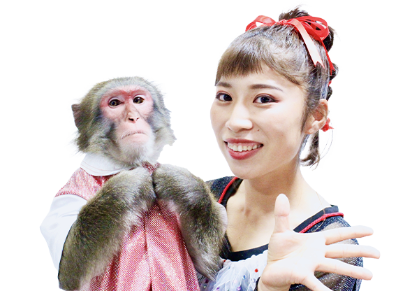 かざぐるま