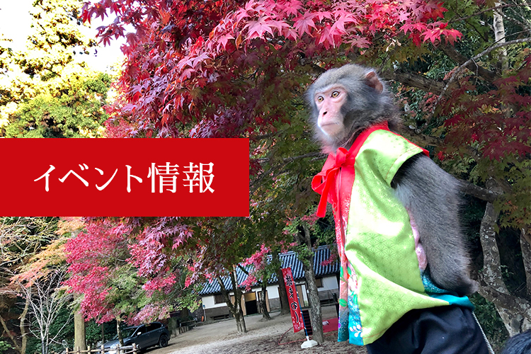 ウキウキお猿の宅配便in秋田慰問公演が全国ネットで放送！